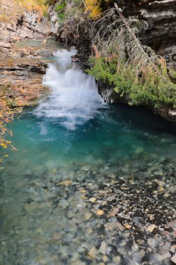 The Johnston Canyon gorge, cut among lodgepole pines by the scenic Johnston Creek on the limestone rock, followed by a hiking trail, a fenced route with catwalks and viewpoints. Banff-Alberta-Canada. clipart