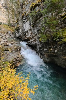 Johnston Kanyonu vadisi, kireçtaşı kayası üzerindeki Johnston Deresi manzaralı çam ağaçları arasında kesiliyor, ardından yürüyüş patikası, platformları ve bakış açıları olan çitli bir yol. Banff-Alberta-Kanada.