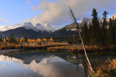 Bow River Polis Memuru Creek arka plan tepelerini yansıtıyor: (L.- R.) Üç Kız Kardeş (Little, Middle, Big), Grassi Knob, Ship 's Prow, batıya bakan manzara Canmore' dan eğimli bir çam ağacı tarafından çerçevelenmiş. AB-Kanada.