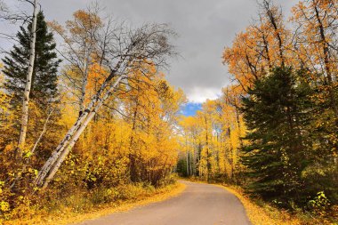 Piramit Gölü Sahil Yolu, piramit dağının eteklerindeki böbrek şeklindeki Piramit Gölü 'nün güney kıyısında sarsılan kavak ağaçlarından geçer. Jasper NP-Alberta-Kanada.