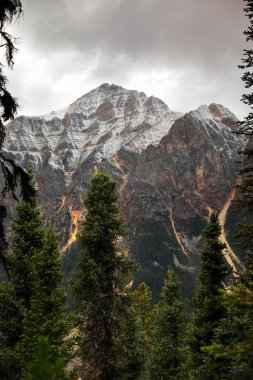Karlı Franchere Tepesi (2805 metre yüksekliğinde) Edith Cavell dağ yolundan Tonquin veya Astoria Vadisi 'ne kadar uzanan kozalaklı ağaçların arasında görüldü. Jasper NP-Alberta-Kanada.