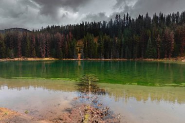 Engelmann ladini -Picea engellisi- Athabasca Nehri Döngü Yolu 7g 'in yanındaki zümrüt yeşili bir gölete ve Maligne Gölü Yolu' nun altındaki uğursuz, bulutlu bir gökyüzüne düştü. Jasper NP-Alberta-Kanada.