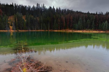 Engelmann ladini -Picea engellisi- Athabasca Nehri Döngü Yolu 7g 'in yanındaki zümrüt yeşili bir gölete ve Maligne Gölü Yolu' nun altındaki uğursuz, bulutlu bir gökyüzüne düştü. Jasper NP-Alberta-Kanada.