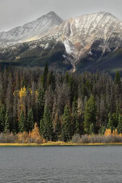 Piramit Dağı ile Victoria Haçı Sıradağlarının Cairngorm 'u arasındaki isimsiz iki tepenin eteklerindeki kozalaklı ağaçlar ve birbirine karışmış sarmaşıklar Piramit Gölü boyunca görülüyor. Jasper NP-Alberta-Kanada.
