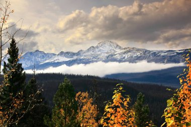 Güneybatıya bakan Icefields Parkway 'den Edith Cavell Dağı' na (3363 metre) ve en dış zirveleri Verdant ve Chevron, Athabasca Nehri Vadisi 'nden yükselen bulutlar. Jasper NP-Alberta-Kanada.