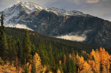 2716 metre yüksekliğindeki kuzey batı yüzeyi, Maligne Sıradağları 'ndaki biraz karlı Hardisty Dağı Icefields Bulvarı ve Athabasca Nehri Vadisi üzerindeki bulutların arasından yükseliyor. Jasper NP-Alberta-Kanada.