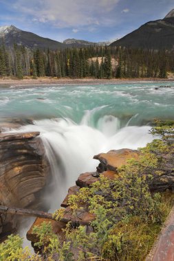 24 metre yüksekliğinde, 46 metre genişliğinde, 5. Sınıf Athabasca Şelalesi, Athabasca Nehri 'nin yukarısında daha sert bir kuvarsit kayasından daha yumuşak kireç taşına düşüyor. Jasper NP-Alberta-Kanada.