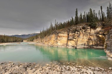 Athabasca Nehri 'nin zümrüt yeşili suları Athabasca Şelalesi' nin kestiği vadiden akarak daha sert bir kuvars kayasından aşağıdaki daha yumuşak kireçtaşına dökülüyor. Jasper NP-Alberta-Kanada.