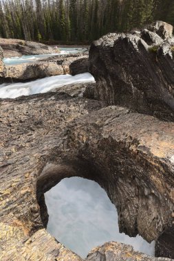 Kicking Horse Nehri 'nin zümrüt yeşili suları, akışlarını geren Doğal Köprü kayaları boyunca akar. Buradan dar bir kanyon boyunca inmeye başlarlar. Saha Yoho NP-BC-Kanada.