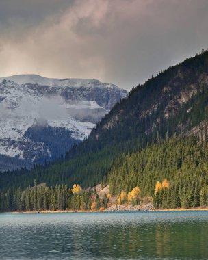 Lower Waterfowl Gölü 'nün kuzeybatısından Waputik Dağları' na (Hans ve Christian Kaufmann, Sarbach Dağı) uzanan Kanada Kayalıkları 'nın kuzeybatısı manzarası. Banff NP-Alberta-Kanada.
