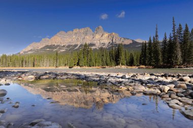 Bow Nehri 'nden sağa doğru NE-ward manzarası, SW Kıyısı' ndan Castle Dağı 'na kadar sağ arka planda Helena Tepesi, sonra Eisenhower Kulesi, sonra Brewer Buttress, ve diğerleri. Banff NP-Alberta-Kanada.