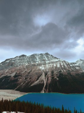 Zümrüt-zümrüt-turkuaz Peyto Gölü 'nden göl kıyısındaki W-R: Caldron Tepesi, Patterson Dağı (Ana ve Kuzey) Waputik Sıradağları' na bakın. Banff NP-Alberta-Kanada.