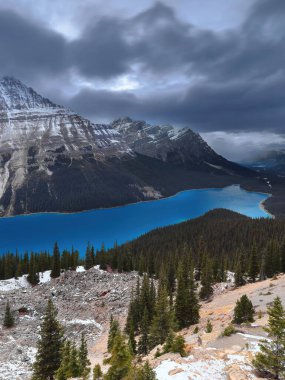 Zümrüt-zümrüt-turkuaz Peyto Gölü 'nden göl kıyısındaki W-R: Caldron Tepesi, Patterson Dağı (Ana ve Kuzey) Waputik Sıradağları' na bakın. Banff NP-Alberta-Kanada.