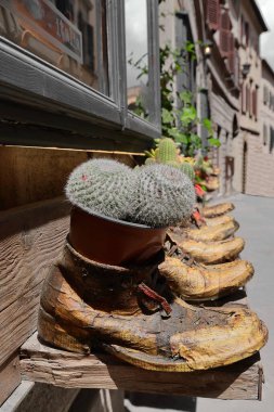 Eski harap olmuş, gazete kaplamalı ve cilalanmış ayakkabılar bir dükkanın önünde satılık olarak satılıyor. İtalyan Deri ürünleri satılıyor, Via di Voltaia nel Corso. Montepulciano-Toskana-İtalya.