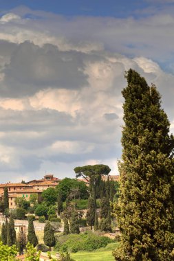 Strada Eyaleti 88 Yolu kıvrımlı arazisinden Monticchiello Köyü 'ne Mario Cappelli Caddesi üzerinden S yaklaşımına gözcülük eden Cypress ağacı çerçeveli bir manzara. Val d 'Orcia-Siena Eyaleti. Toskana-İtalya..
