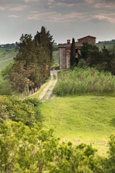Podere ya da Farmstead, Tarım Birliği, Asciano belediyesindeki Girit Senesi platosunda, SP 38 'in yanında, öğleden sonra sıcak ışık altında görüldü. Siena Eyaleti. -Toskana-İtalya.