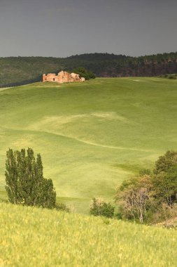 SP 38 'in yanındaki Asciano belediyesindeki Girit Senesi masa bahçesinde, öğleden sonra saatlerinde sıcak bir ışıkla görülen harap podere -çiftliği, tarım birliği. Siena Eyaleti. -Toskana-İtalya.