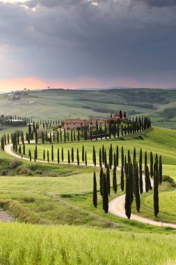 Val d 'Asso Vadisi' nin kırsal kesiminde renkli bulutlu bir gün batımı, Podere-çiftlikleri ve Strada Provinciale del Pecorile Yolu 'ndan gözlenen selvi kaplı toprak yollar. Asciano-Toskana-İtalya.