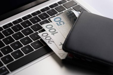 Cüzdanı bir dizüstü bilgisayarda Polonya zlotisi ile dolu. Çevrimiçi ödeme kavramı