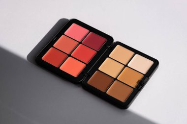 Zengin, canlı pembeler, kırmızılar ve sıcak nötrleri gösteren zarif bir makyaj paleti. Makyaj sanatçıları, güzellik markaları ve kozmetik aşıkları için mükemmel bir ürün..