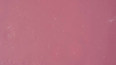 Büyük, berrak, soluk pembe baloncuklar boyunca kayarak onları pembe arka planda hareket ettirir. Ticari malzemelerden oluşan bir kare.