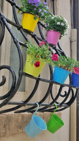 Vasos Coloridos Com Flores Janela Enganchado Grelha Janela — Fotografia de Stock
