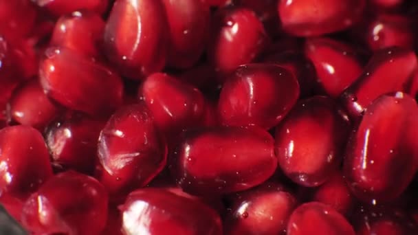 Dużo Dojrzałych Ziaren Granatu Zbliżenie Czerwony Granat Ciemnym Tle Owoce — Wideo stockowe