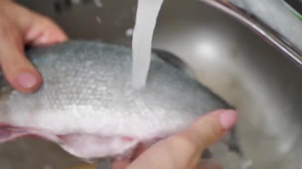 Close Womans Hand Knife Cleaning Fresh Fish Scales Top View — Stok video