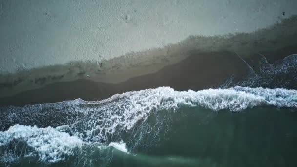 Повітряний Вигляд Спереду Пляж Море Пісок Долоні Вид Красивий Білий — стокове відео