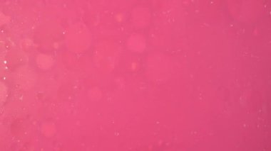 Şeffaf kabarcıklar pembe arka planda hareket eden pembe küçük baloncuklar boyunca kayar. Reklam için bir tutam yumuşatıcı malzeme..