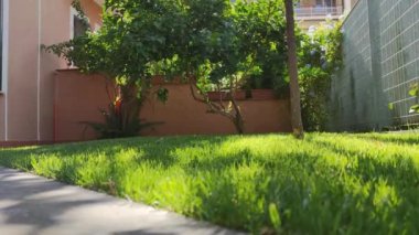 Çiyli yeşil sabah çimleri. Yavaş kamera üzerimizden uçuyor. Mükemmel çim. Alanın derinliği