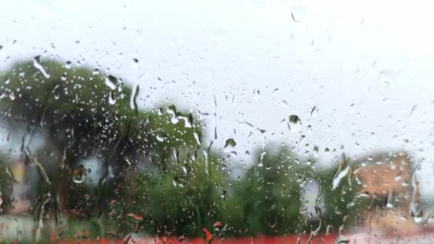 Defocused Blurry Heavy Rain Taken Cabin Car — Stock Video