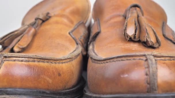Model Kahverengi Erkek Yeni Ayakkabılar Beyaz Arka Planda Erkek Ayakkabıları — Stok video