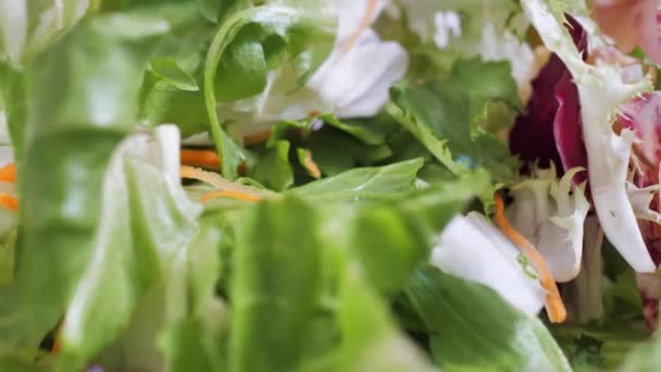 Detailní Pohled Čerstvé Listy Salátové Směsi Zdravé Organické Složky Potravin — Stock video
