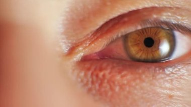 Erkek Kahverengi Göz Gerçek Zaman 4K 'da Aşırı Macro Yakınlaştır.