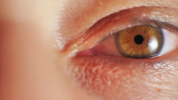 Male Brown Eye Close Extreme Macro Zoom Iris Real Time — Stok Video