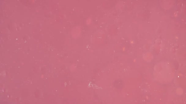 Прозрачный Пузырь Скользит Вдоль Бледно Розовые Меньше Перемещая Розовый Фон — стоковое видео