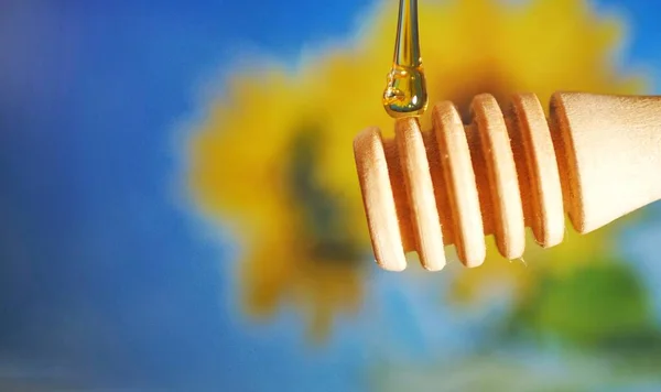 Süßer Honig Auf Einem Verschwommenen Hintergrund Aus Sonnenblumen Honig Tropft — Stockfoto