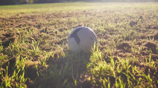 サッカーボールのトレーニングは日光の中の緑の芝生の上にあります スポーツ機器への滑らかで安定したカメラアプローチ — ストック動画