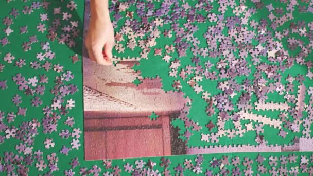 Una Donna Raccoglie Puzzle Tappeto Verde — Video Stock