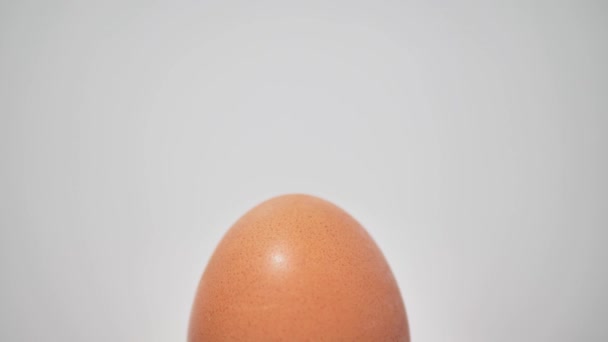 Куряче Сире Яйце Крутиться Поворотній Стіл Вид Зверху Крупним Планом — стокове відео