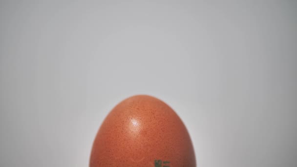 Αυγό Απομονωμένο Περιστροφή Και Περιστροφή Λευκό Φόντο Ανασταλεί Στον Αέρα — Αρχείο Βίντεο
