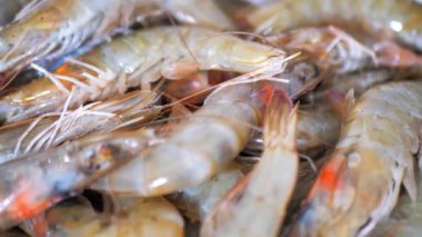 Karidesler Turntable 'da dönüyor. Beyaz Arka plan 'da izole edilmiş. Deniz ürünleri. Kapat..