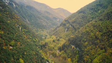 Kuşlar Norveç 'teki dağların üzerinden yeşil ormanların içinden geçen bir yola bakıyor..
