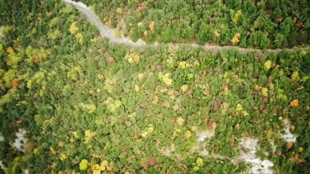 Luchtfotografie Van Een Prachtig Kleurrijk Herfstpark Luchtfoto Van Kleurrijke Herfstbomen — Stockvideo