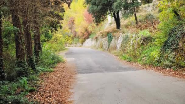 Путь Покрытый Желтыми Листьями Осеннем Парке — стоковое видео