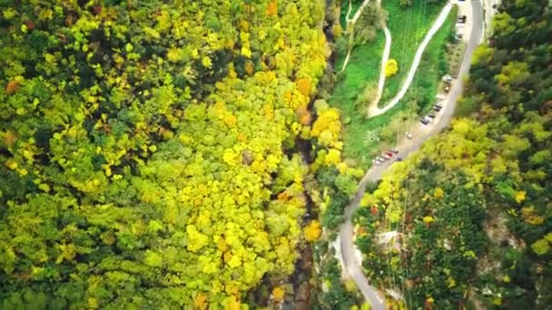 Lot Dronem Patrząc Rozległy Las Jasnych Jesiennych Kolorach Zawierających Dom — Wideo stockowe