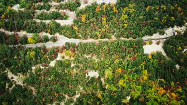 Політ Безпілотника Дивиться Величезний Ліс Яскравих Осінніх Кольорах Містять Будинок — стокове відео