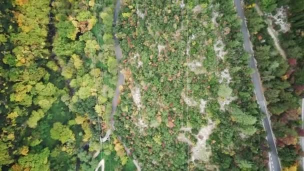 在阳光明媚的秋日 无人机在村道上空飞舞 四周环绕着电影般的明媚多彩的森林 风景黄 橙秋叶 — 图库视频影像