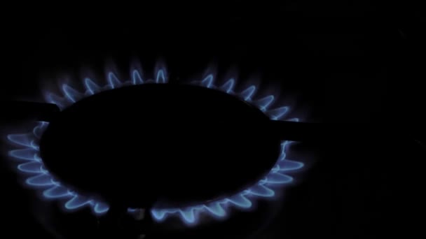Gas Verbrennt Gasherd Das Gas Geht Eine Blaue Flamme Erscheint — Stockvideo
